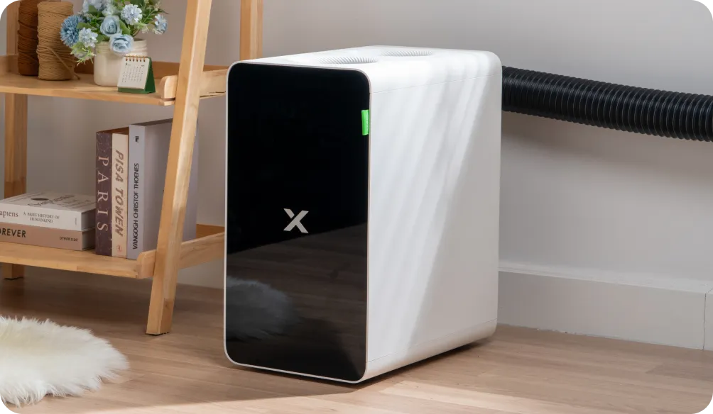 Mk f2ultrachanpinye us pc maskgroup 4790 14056